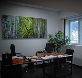 ITALGYPS SA - DBF CONSULTING SION
